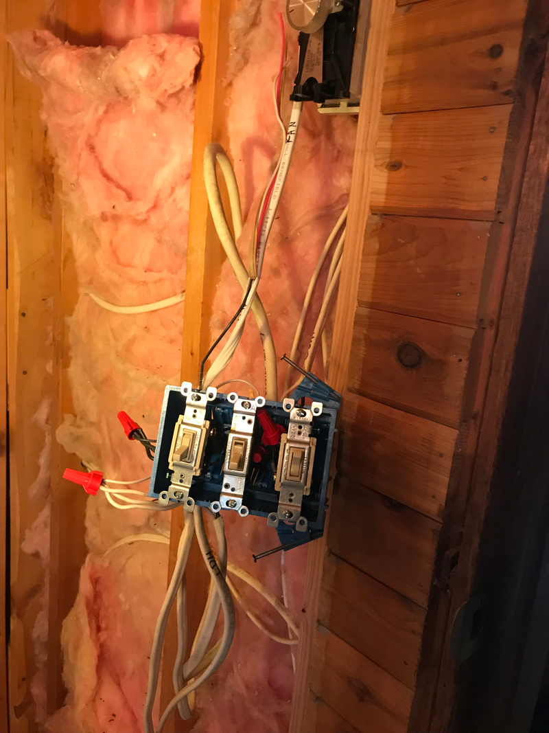 Illustration for article titled My house is wired like a 1980’s Jaguar + bonus dog
